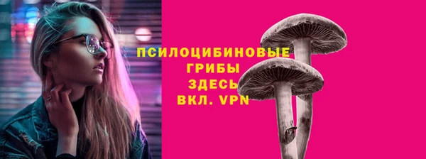 молекула духа Арсеньев