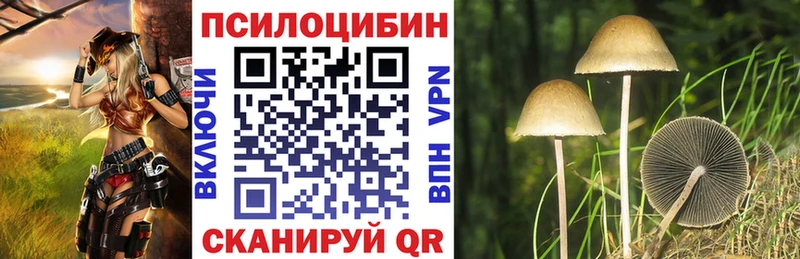 купить закладку  Белогорск  Галлюциногенные грибы MAGIC MUSHROOMS 